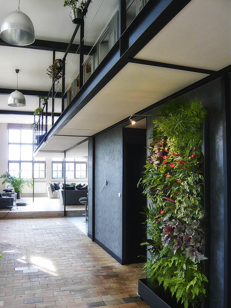 Jardines verticales para interiores. Proyectos de interiorismo.